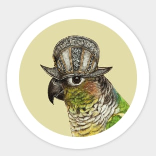 Green-cheeked parakeet Sticker